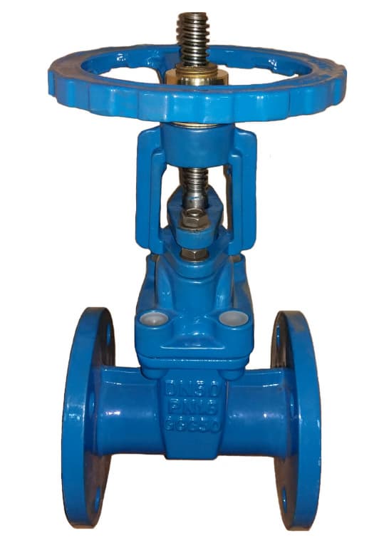 BS resilient gate valve RS